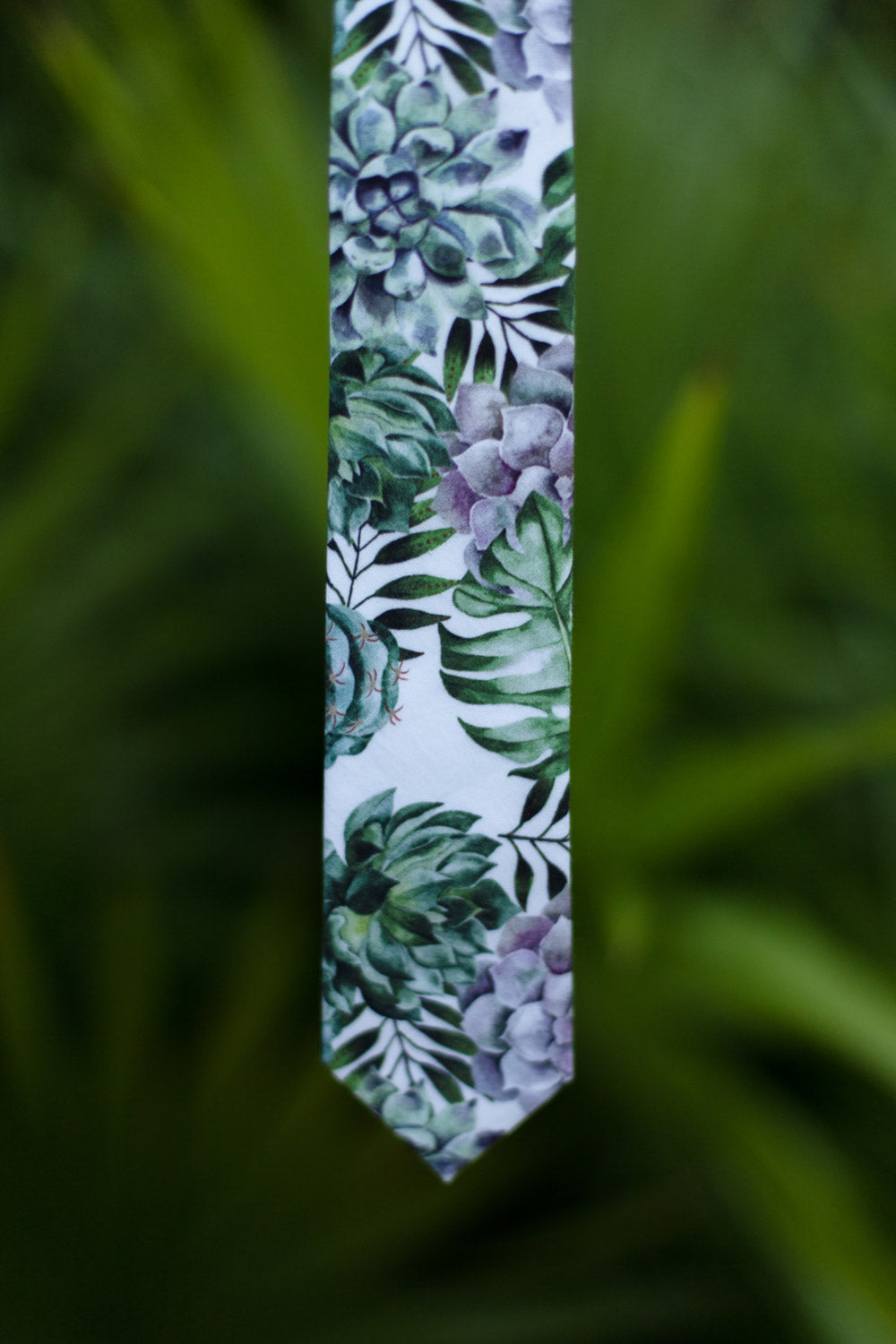 Aloe tie photographed in front of some greenery.
