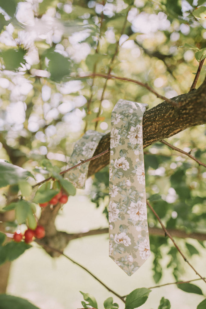 Alyssum tie photographed while hanging over a tree branch.